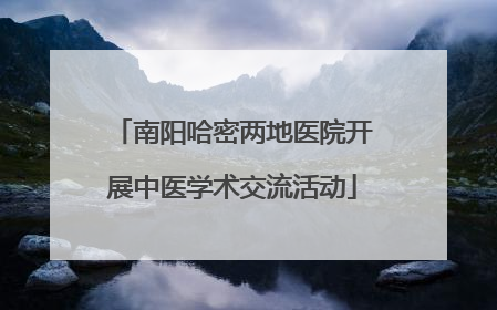 南阳哈密两地医院开展中医学术交流活动