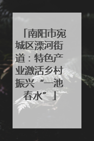 南阳市宛城区溧河街道：特色产业激活乡村振兴“一池春水”