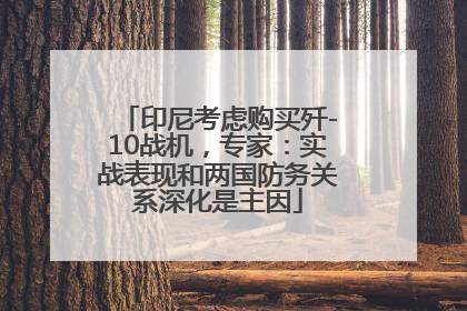 印尼考虑购买歼-10战机，专家：实战表现和两国防务关系深化是主因