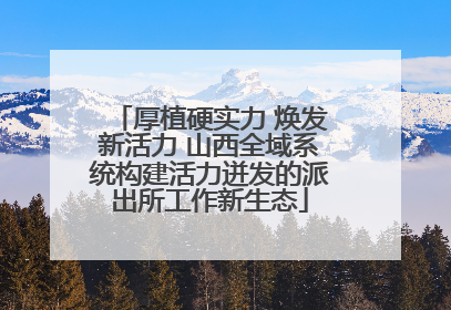 厚植硬实力 焕发新活力 山西全域系统构建活力迸发的派出所工作新生态