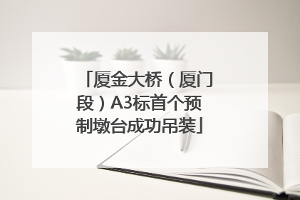 厦金大桥（厦门段）A3标首个预制墩台成功吊装