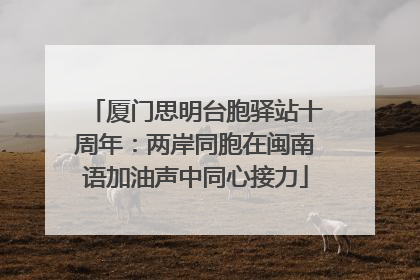 厦门思明台胞驿站十周年：两岸同胞在闽南语加油声中同心接力