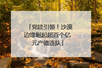 党建引领！沙漠边缘崛起超百个亿元产值连队