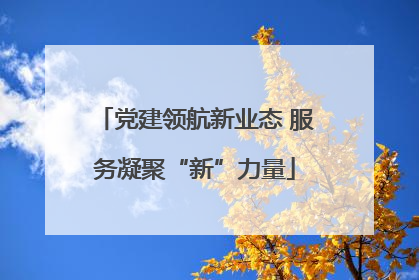 党建领航新业态 服务凝聚“新”力量