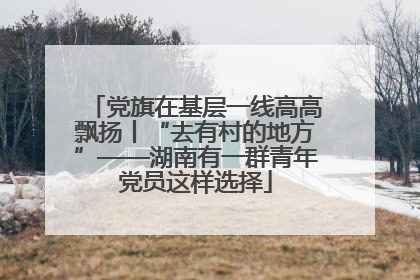 党旗在基层一线高高飘扬丨“去有村的地方”——湖南有一群青年党员这样选择