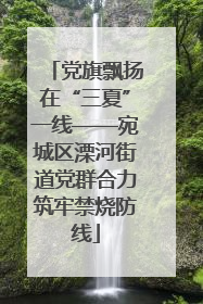 党旗飘扬在“三夏”一线——宛城区溧河街道党群合力筑牢禁烧防线