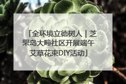 全环境立德树人|芝罘岛大疃社区开展端午艾草花束DIY活动