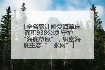 全省累计修复海草床面积938公顷 守护“海底草原”，织密海底生态“一张网”