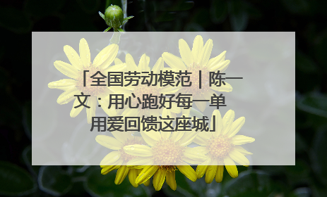 全国劳动模范｜陈一文：用心跑好每一单 用爱回馈这座城