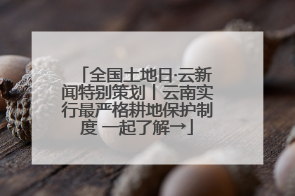 全国土地日·云新闻特别策划丨云南实行最严格耕地保护制度 一起了解→