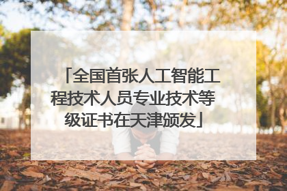 全国首张人工智能工程技术人员专业技术等级证书在天津颁发