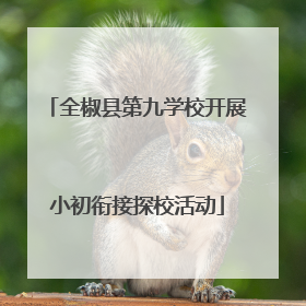 全椒县第九学校开展小初衔接探校活动