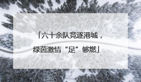 六十余队竞逐港城，绿茵激情“足”够燃