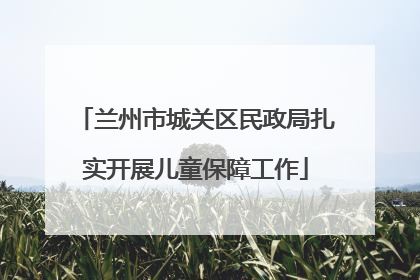 兰州市城关区民政局扎实开展儿童保障工作