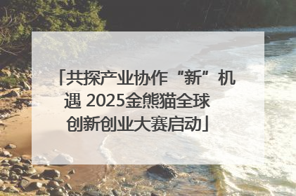 共探产业协作“新”机遇 2025金熊猫全球创新创业大赛启动