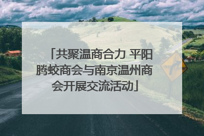 共聚温商合力 平阳腾蛟商会与南京温州商会开展交流活动