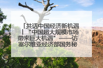共话中国经济新机遇丨“中国超大规模市场带来巨大机遇”——访塞尔维亚经济部国务秘书尼科利奇