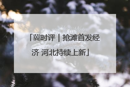 冀时评｜抢滩首发经济 河北持续上新