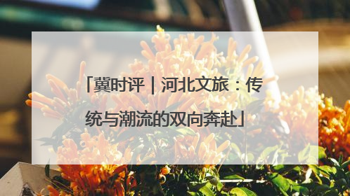 冀时评｜河北文旅：传统与潮流的双向奔赴
