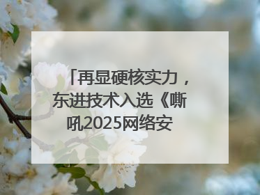 再显硬核实力，东进技术入选《嘶吼2025网络安全产业图谱》