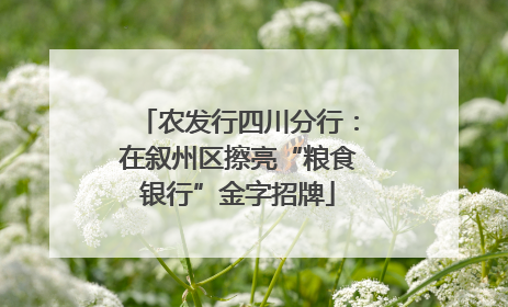 农发行四川分行：在叙州区擦亮“粮食银行”金字招牌