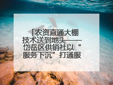 农资直通大棚 技术送到地头——岱岳区供销社以“服务下沉”打通服务“三农”最后一公里