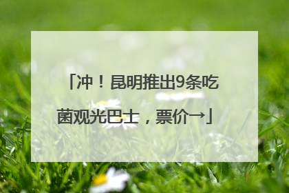 冲！昆明推出9条吃菌观光巴士，票价→
