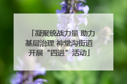 凝聚统战力量 助力基层治理 神堂沟街道开展“四进”活动