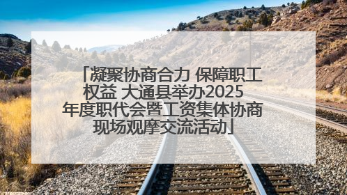 凝聚协商合力 保障职工权益 大通县举办2025年度职代会暨工资集体协商现场观摩交流活动