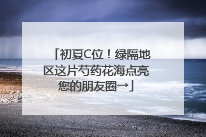 初夏C位！绿隔地区这片芍药花海点亮您的朋友圈→