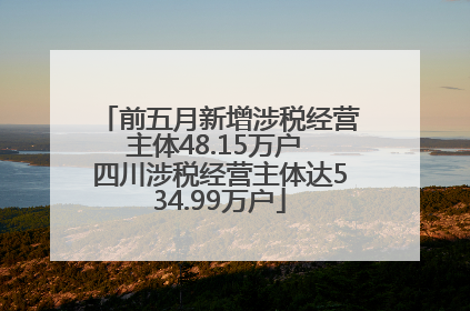 前五月新增涉税经营主体48.15万户 四川涉税经营主体达534.99万户