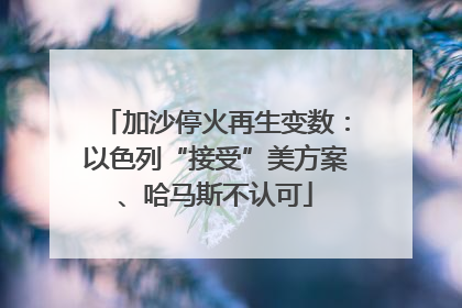加沙停火再生变数：以色列“接受”美方案、哈马斯不认可