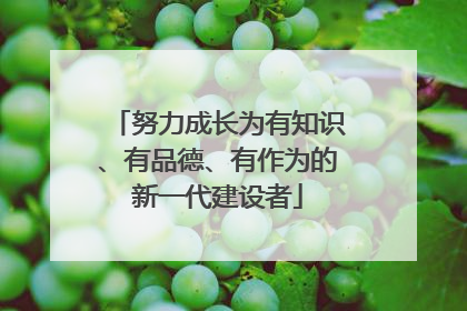 努力成长为有知识、有品德、有作为的新一代建设者