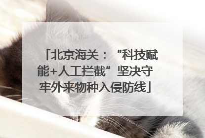 北京海关：“科技赋能+人工拦截”坚决守牢外来物种入侵防线