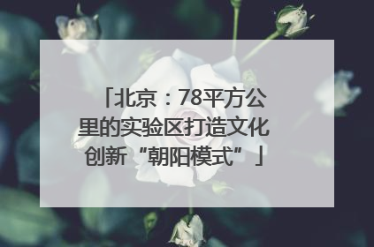 北京：78平方公里的实验区打造文化创新“朝阳模式”