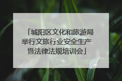 城阳区文化和旅游局举行文旅行业安全生产暨法律法规培训会