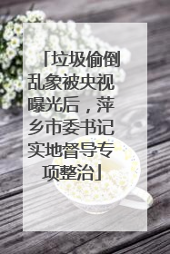 垃圾偷倒乱象被央视曝光后，萍乡市委书记实地督导专项整治