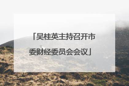吴桂英主持召开市委财经委员会会议