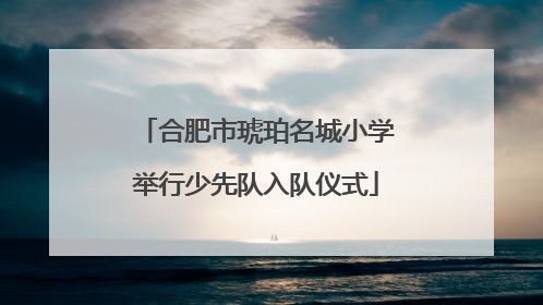 合肥市琥珀名城小学举行少先队入队仪式
