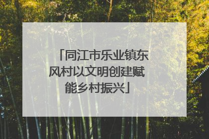 同江市乐业镇东风村以文明创建赋能乡村振兴