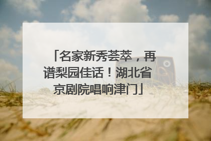 名家新秀荟萃，再谱梨园佳话！湖北省京剧院唱响津门