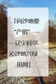 向沙地要“产值”——辽宁科尔沁沙地兴绿见闻