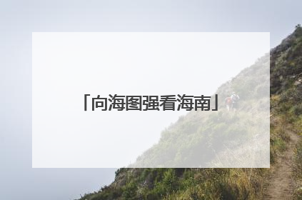 向海图强看海南