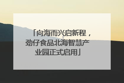 向海而兴启新程，劲仔食品北海智慧产业园正式启用
