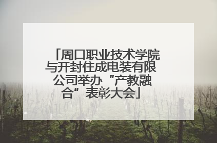 周口职业技术学院与开封住成电装有限 公司举办“产教融合”表彰大会