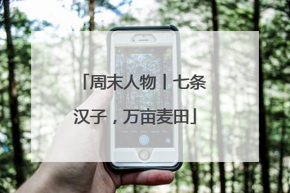 周末人物丨七条汉子，万亩麦田