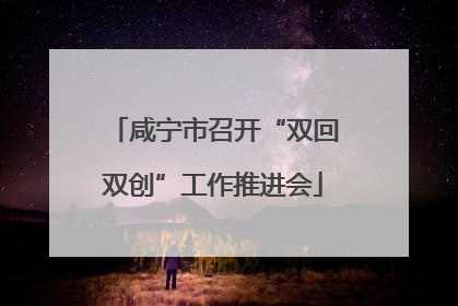 咸宁市召开“双回双创”工作推进会