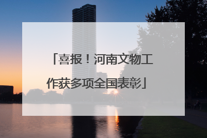 喜报！河南文物工作获多项全国表彰