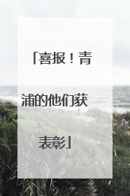 喜报！青浦的他们获表彰