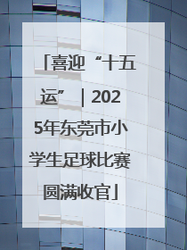 喜迎“十五运”｜2025年东莞市小学生足球比赛圆满收官
